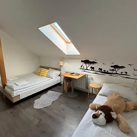 Marco Polo